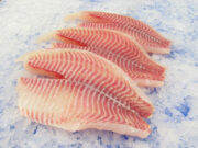 Полезные свойства рыбы тилапии