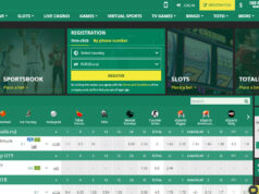 Бетвиннер – обзор сервиса