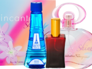 Основные правила выбора духов. Обзор духов Рени