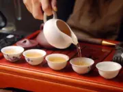 Школа сомелье в Санкт-Петербурге