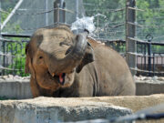 Увлекательные приключения: куда сходить с детьми в Москве