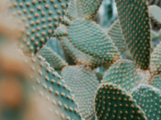 Кератома: что это, особенности, лечение и выбор клиники