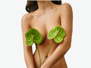 Увеличение груди: современные методы пластики, импланты, липофилинг и реабилитация