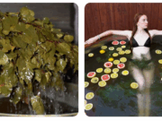 Восстановление после тренировок с помощью бани