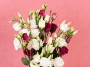 Охапка цветов: значение, преимущества доставки и критерии выбора сервиса