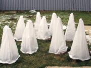 Практические советы по фиксации растений и укрытий для кустарников