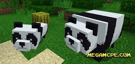 Мод Panda Bear (Minecon 2018 Концепт!)