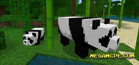 Мод Panda Minecon 2018